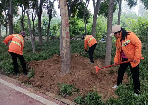 秋季移植添新綠，精細養(yǎng)護煥新顏 樹木種植指南